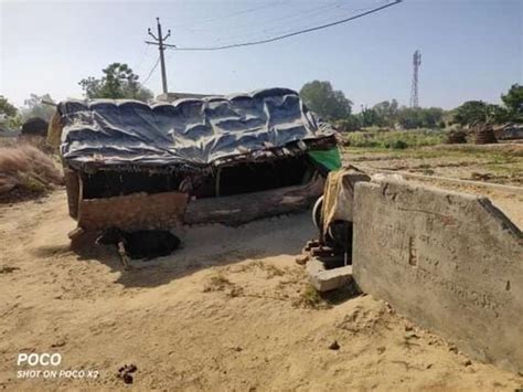 India Photos - Featured Images of India, Asia - Tripadvisor