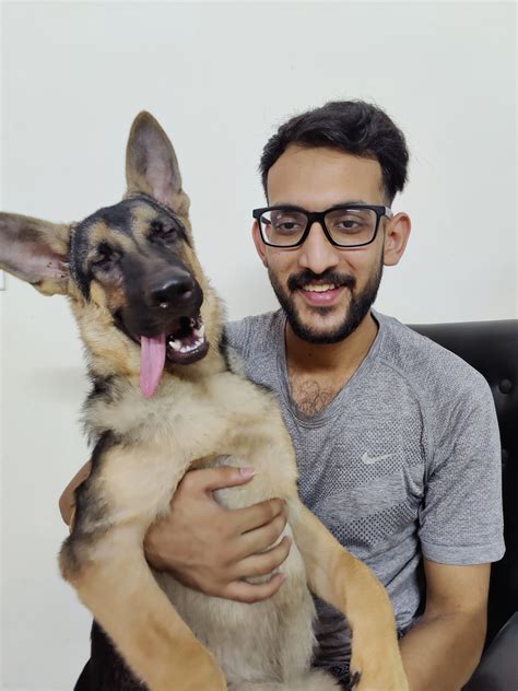 About Us - Pet Perfect