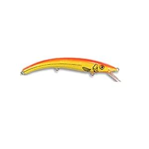 Reef Runner 500 Series Little Ripper, 3-3/4-Inch, Flame : Amazon.in ...