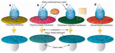A Review on Promising Membrane Technology Approaches for Heavy Metal ...