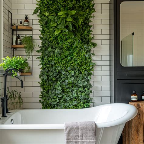 Plants For Bathrooms 5 Trendsetting Plants To Combat Bathroom Odours