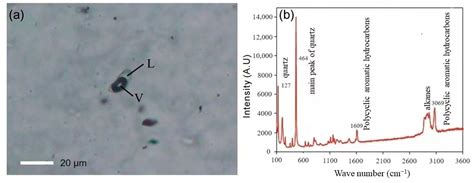 The Solubility of Antimony (Sb) in Liquid Hydrocarbons and Its ...