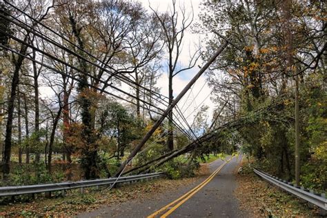 Image result for Tree Falling Hit Power Line