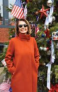 Image result for Nancy Pelosi Orange