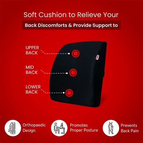 Dr. Ortho Back Support and Coccyx Cushion Combo – Ultimate Comfort ...