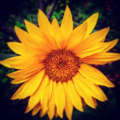 THE 10 BEST Places to Visit in Putney (2025) - Must-See Attractions