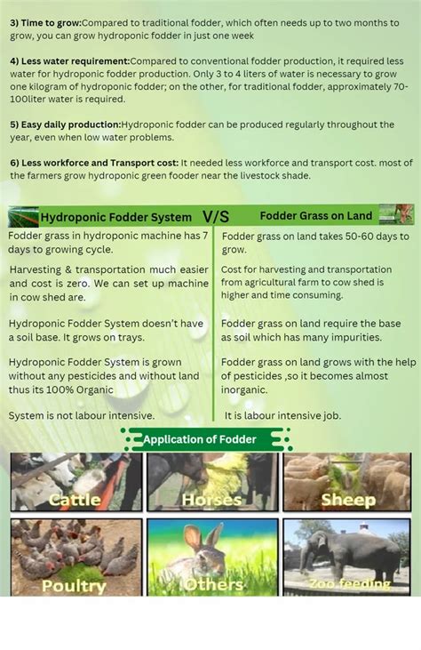 Hydroponic Fodder Machine - Hydroponic Chara Machine Service Provider ...