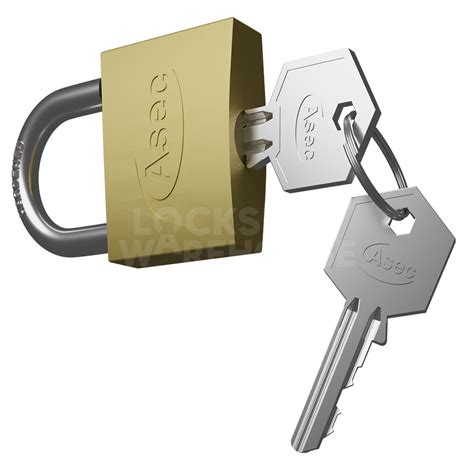 Master Key Only For Master Key System Padlock 50Mm 的图像结果
