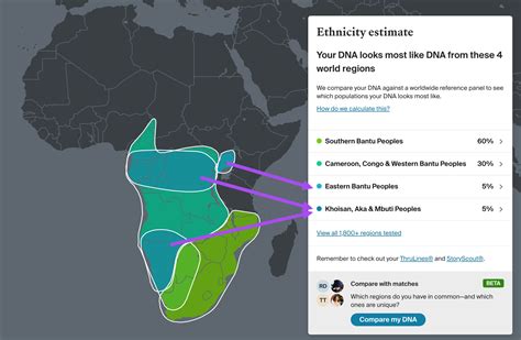 Understanding Ethnicity Estimates: How the Bantu Expansion Shaped DNA ...