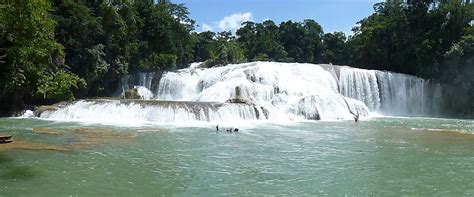 THE BEST Palenque Accessible Hotels 2023 (Prices) - Tripadvisor