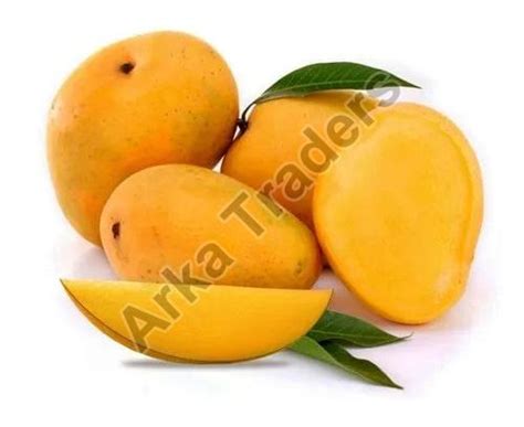 Fresh Kesar Mango Exporter, Supplier from Hyderabad