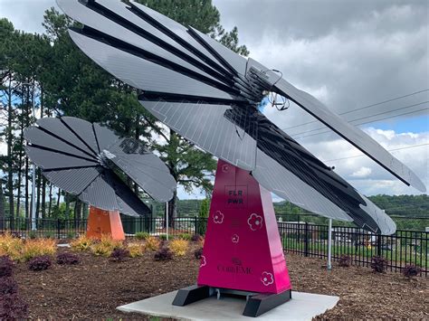 Solar Flower 的图像结果