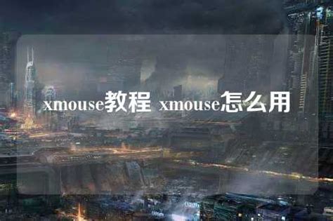 Xmouse Features 的图像结果