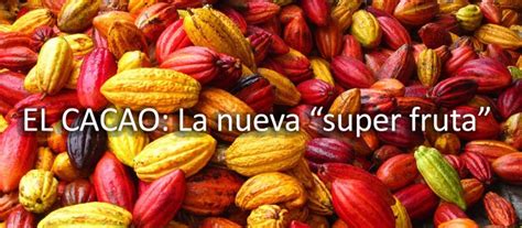 EL CACAO: La nueva "súper fruta" | Alimentos Ecuador