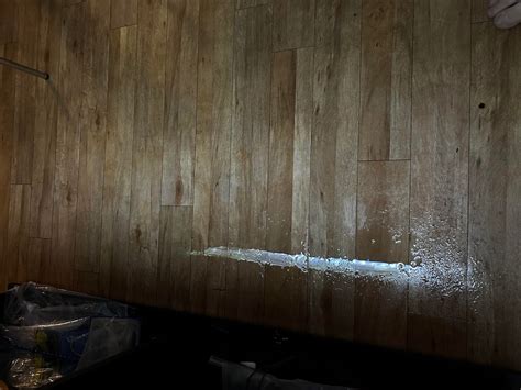 What are these fish that look like they are in a panda onesie? : r/Fish