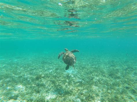 PESCADORES SUITES MOALBOAL (Cebu Island) - Hostel Reviews, Photos, Rate ...