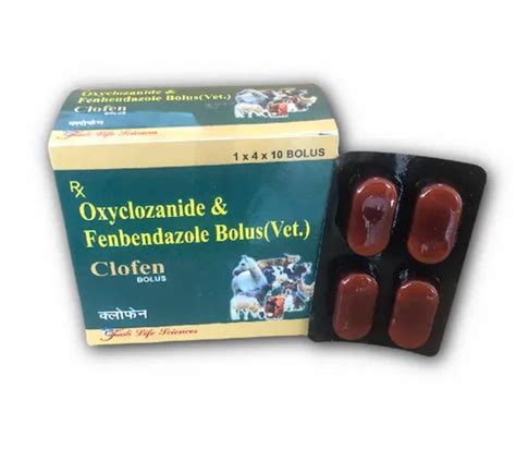 Veterinary Bolus - Ofloxacin & Lactobacillus Bolus (Vet) Manufacturer ...