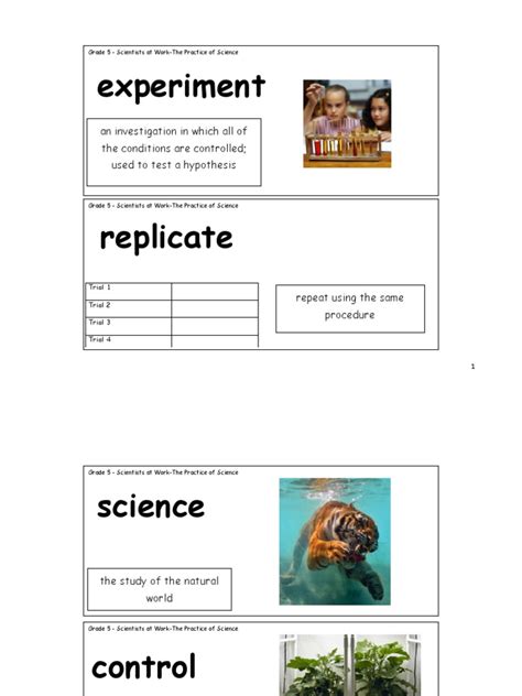Image result for Class 5 Science Exeperiment Name
