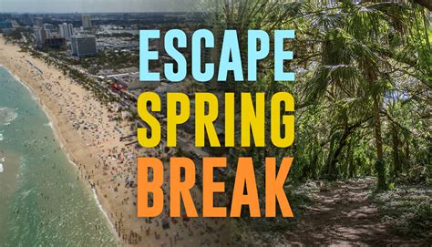 Spring Break Beach Escape 的图像结果