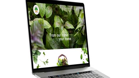 Introducing Uptown Fresh: Your Source for Fresh, Hydroponically Grown ...