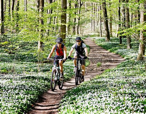 RENTBIKE.SE (2026) All You Need to Know BEFORE You Go (with Photos ...