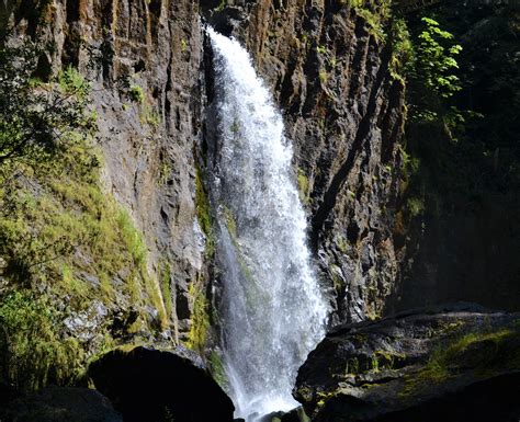 Drift Creek Falls Trail | Oregon Tails
