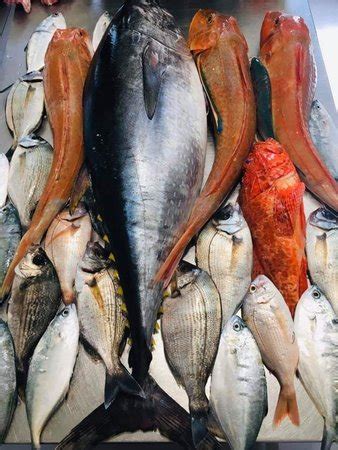 RESTORANT PESHKATARI- SPECIALITET PESHKU, Fier - Restaurant Reviews ...