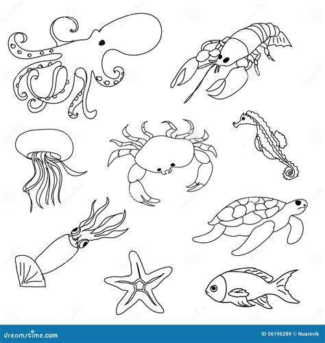 Sea Animals Coloring Page Stock Illustration - Image: 56196289