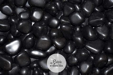 Pebble Kart by Meraki India Polished Glossy Black Pebble Stones for ...