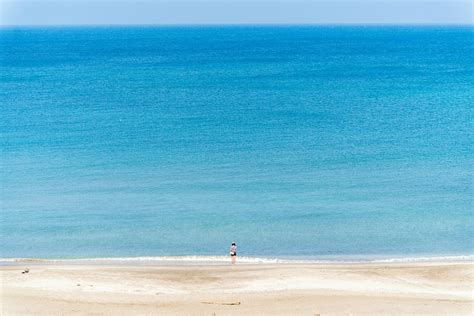 Image result for Understanding Examples of Controlling