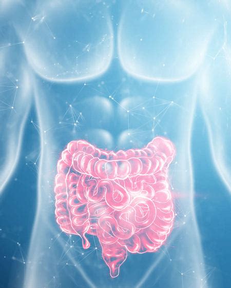 Vitamins and Health Supplement Tablet, Capsule– AIWO – Aiwo Limited