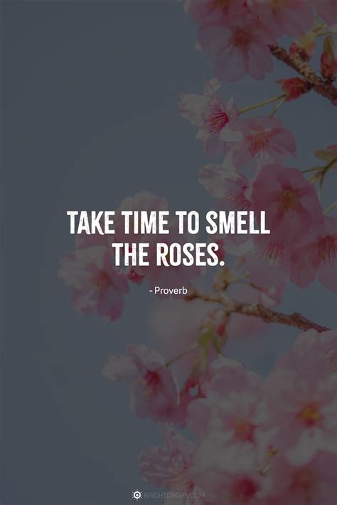 87 Short Flower Quotes (With Photos!) - Bright Drops