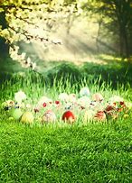 Image result for Easter Creative Photography