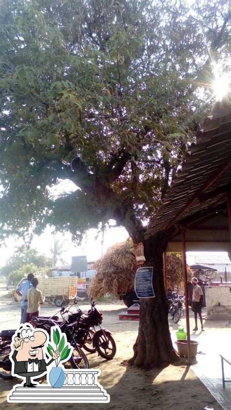 Indira Tea Stal, India - Restaurant reviews