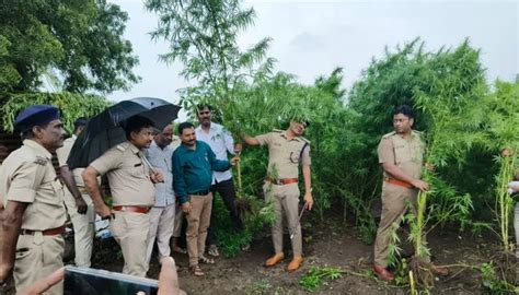 ಮಹಾನಾಯಕ