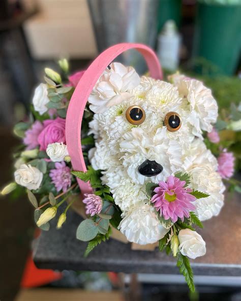 Diy Dog Flower Arrangement