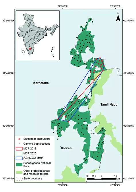 Illegal snares are hurting Bengaluru’s wild ones