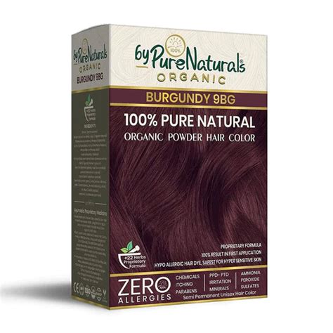 byPureNaturals 100% Organic Pure Natural Powder Hair Colour-120 Gm- 9BG ...