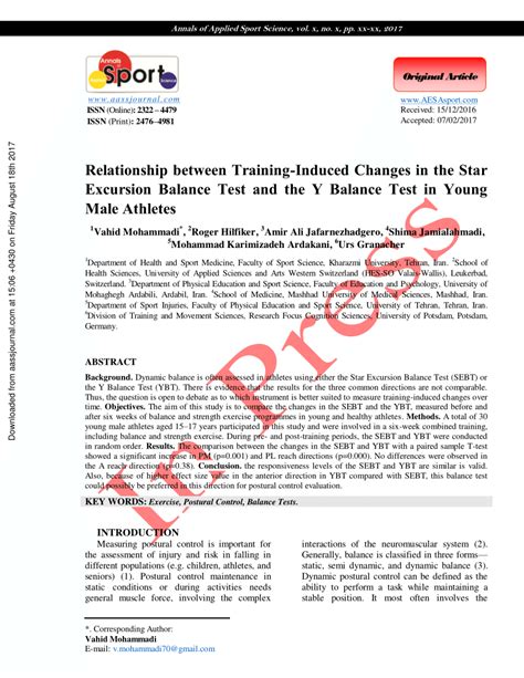 Image result for Y Balance Excursion Test