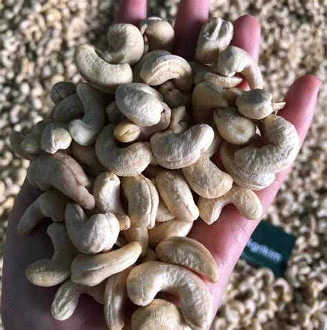 Various Types Of Cashew Nuts Cashew Nuts In Bulk Whole Cashew Nuts With ...