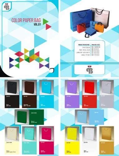 Paper Packaging - Paper Bags Colorful with Rope Handles Manufacturer ...
