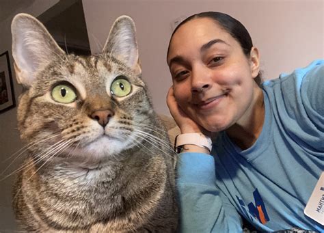 Wrentham Animal Hospital | Wrentham MA Vet