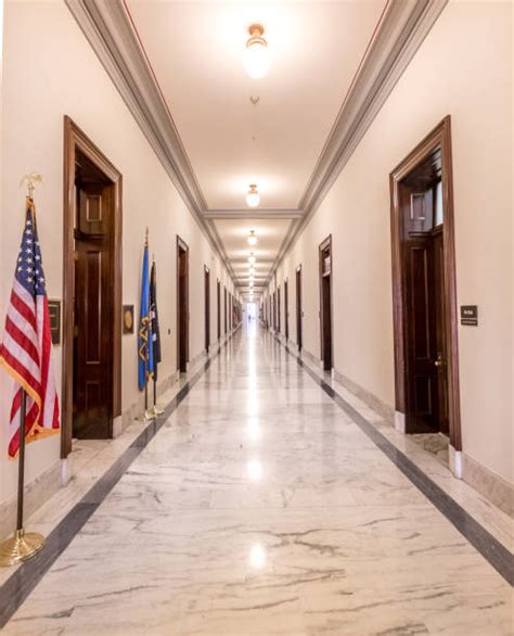 Senate 的图像结果