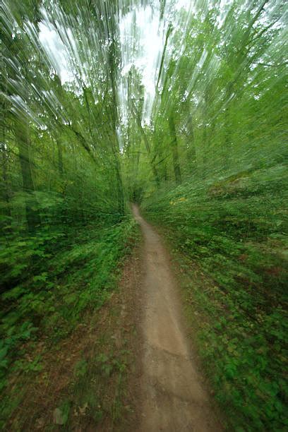 Image result for Video Editing Moving Object Fast Run