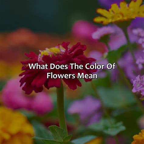 What Does The Color Of Jelly Bracelets Mean - colorscombo.com