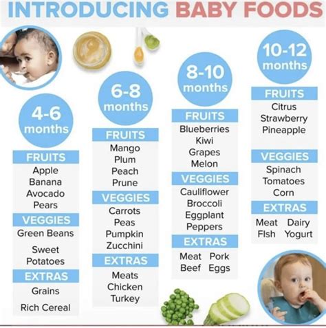 Pinterest | Baby food recipes, Newborn baby tips, Baby food timeline
