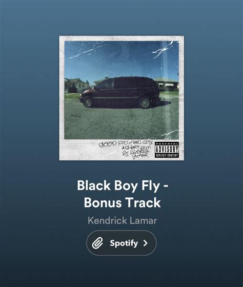 Black Boy Fly Lyrics