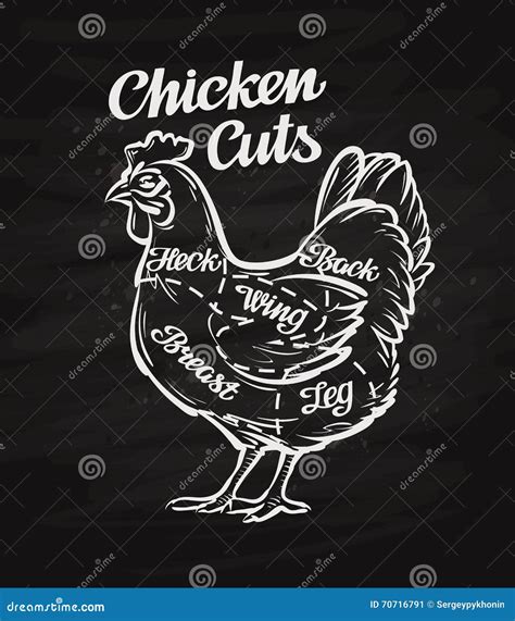 Cuts Of Chicken. Meat Cuts. Chicken Silhouette Isolated On Black ...