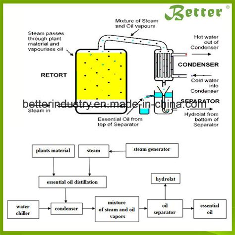 China Vapor de água Extractor de óleo essencial de gengibre – Compre ...