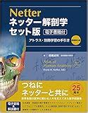 Image result for What Is Page Layout Algorithm